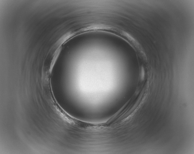 X0000080791185200612151447