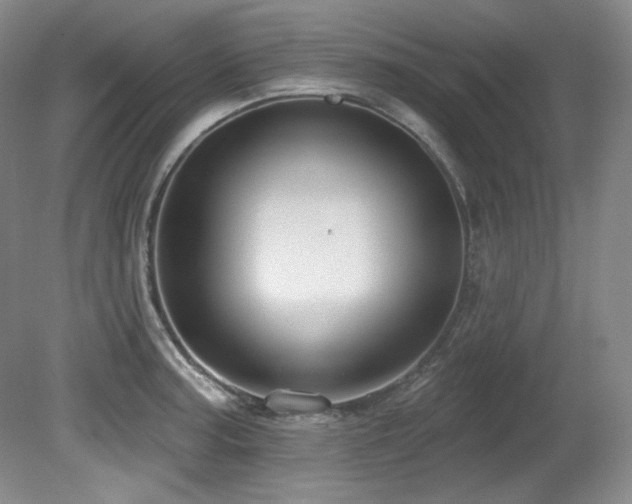 X0000080791187200612151447