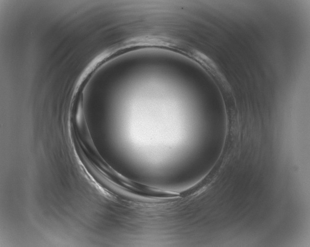 X0000080791188200612151447