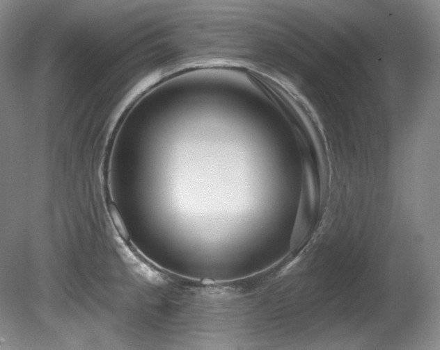 X0000080791189200612151447