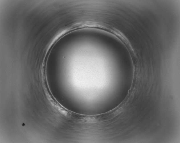X0000080791190200612151447