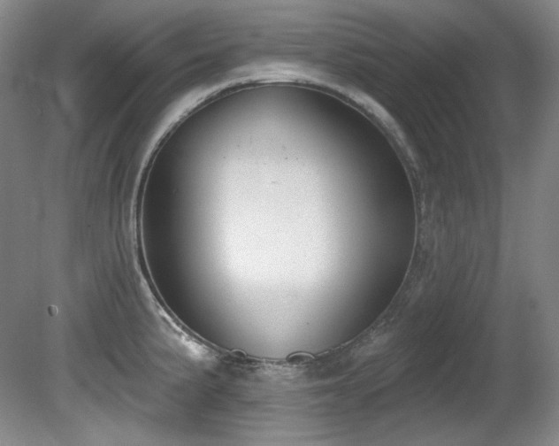 X0000080791191200612151447