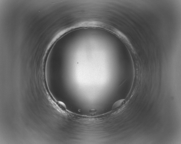 X0000080791192200612151447