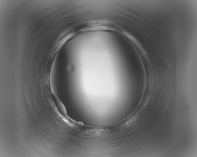 X0000080791193200612151447