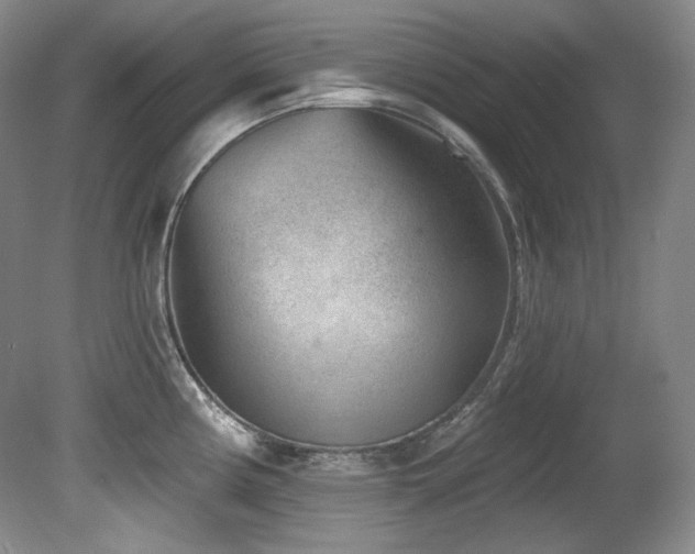 X0000080791194200612151447