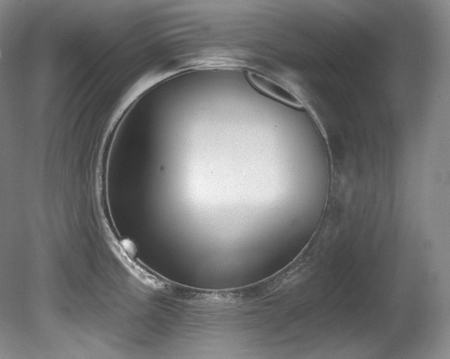 X0000080791195200612151447