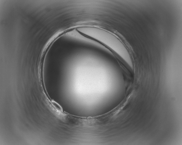 X0000080791196200612151447