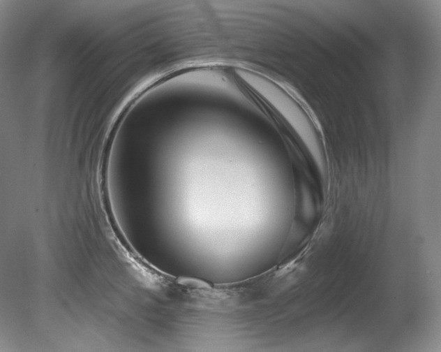 X0000080791197200612151447