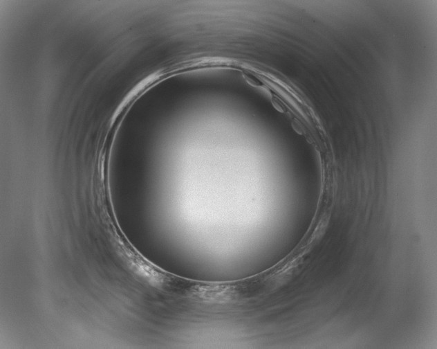 X0000080791198200612151447