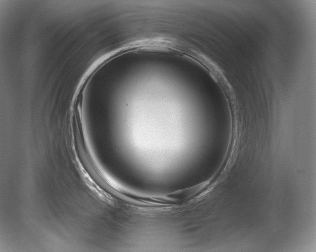 X0000080791200200612151446