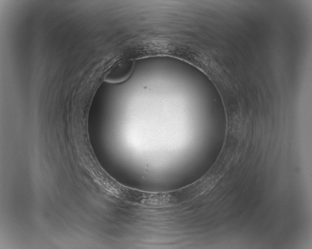 X0000080791201200612151446
