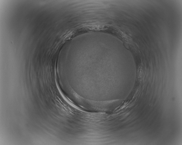 X0000080791202200612151446