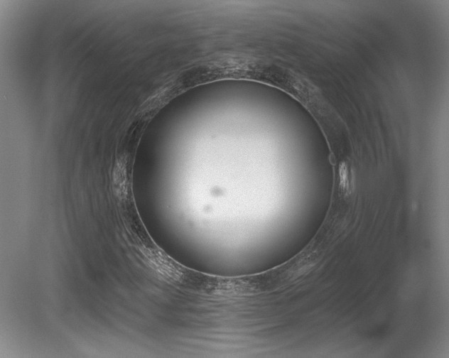 X0000080791203200612151446