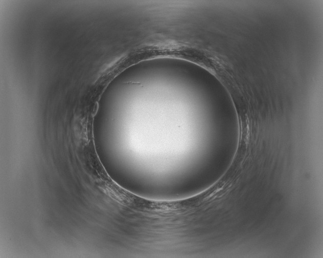 X0000080791205200612151446