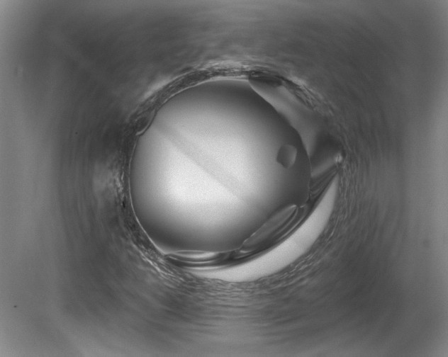 X0000080791206200612151446