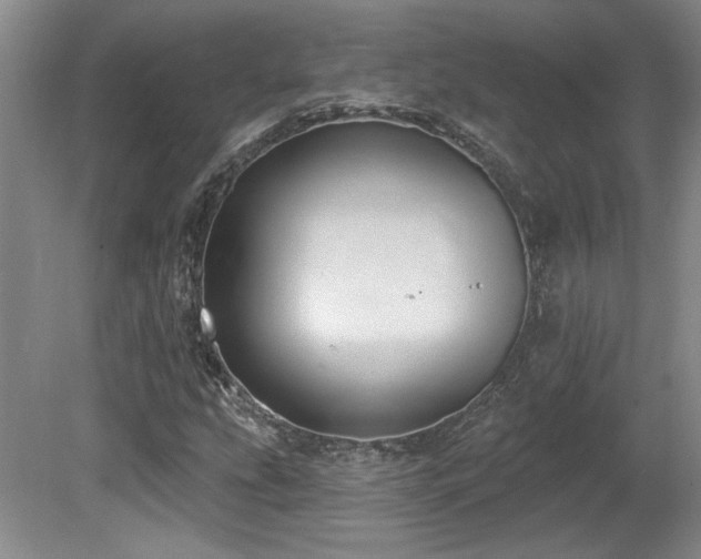 X0000080791207200612151446