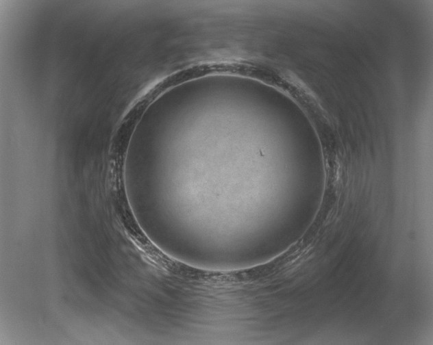 X0000080791208200612151446