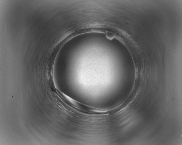 X0000080791209200612151446