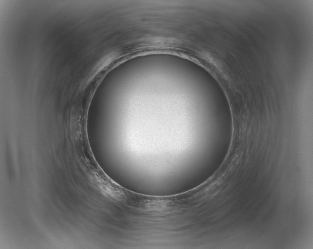 X0000080791211200612151446