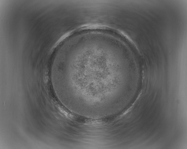 X0000080791213200612151446
