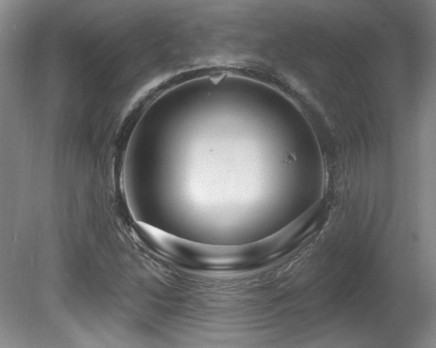X0000080791214200612151446