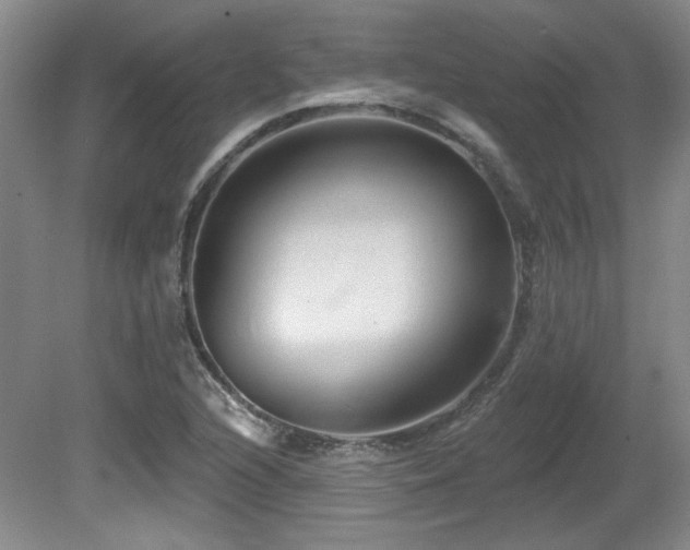 X0000080791216200612151446