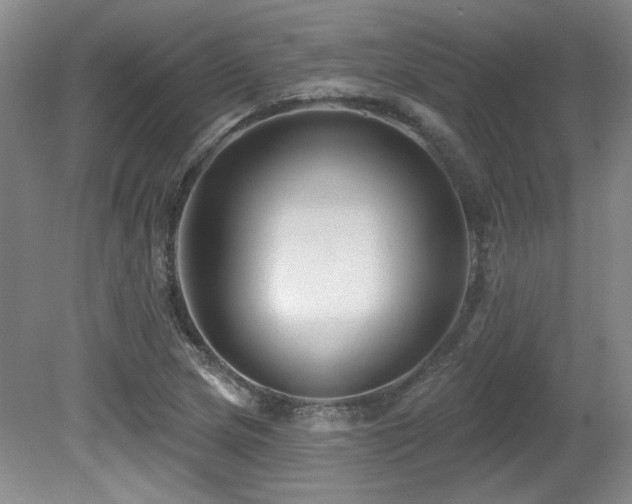 X0000080791217200612151446