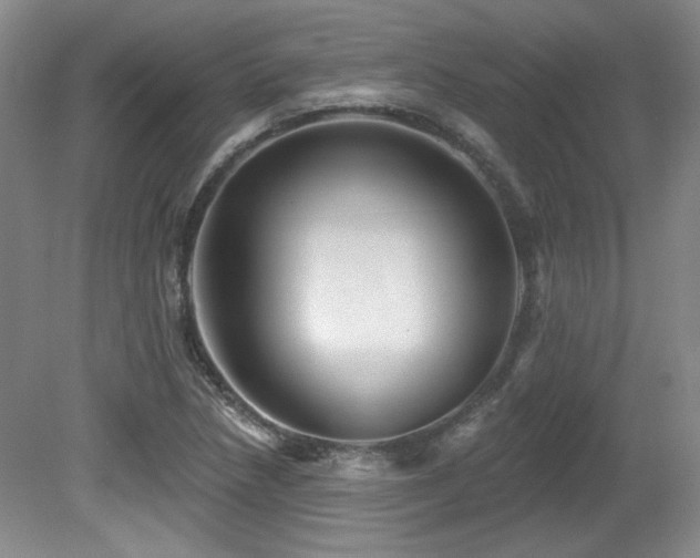 X0000080791218200612151446