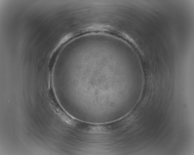 X0000080791219200612151446