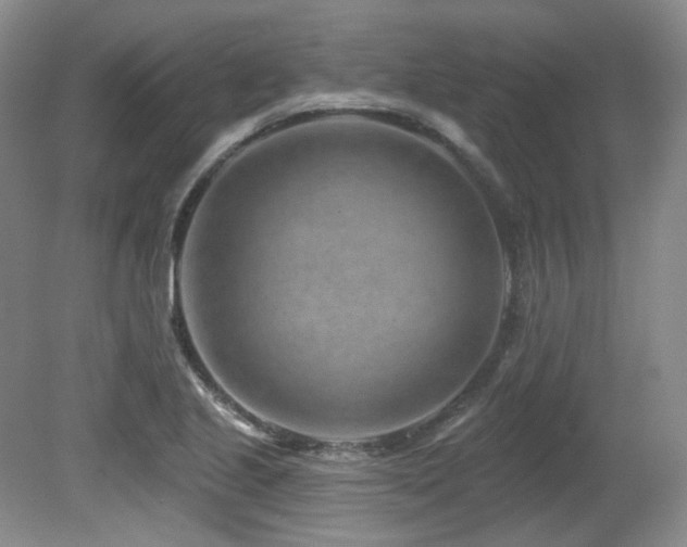 X0000080791221200612151446