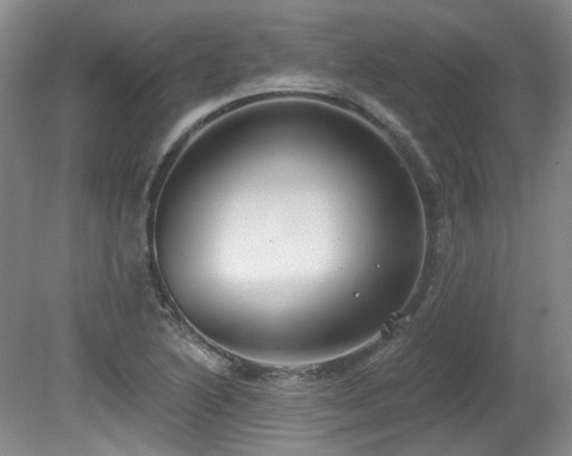 X0000080791222200612151446