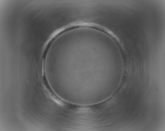 X0000080791223200612151446