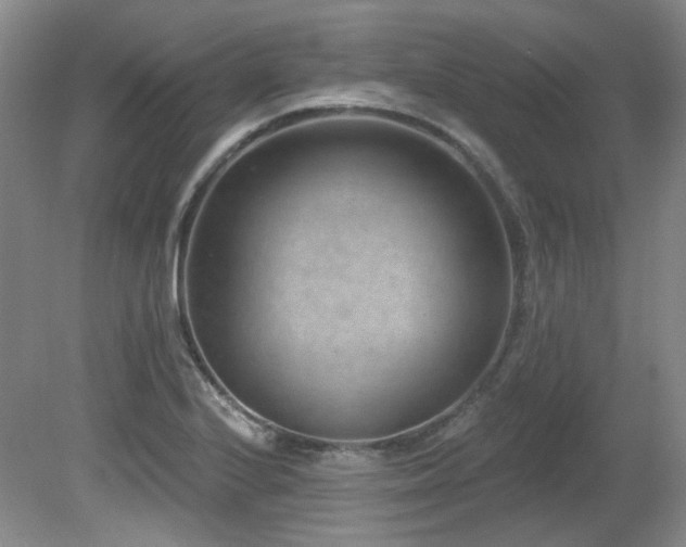 X0000080791224200612151446