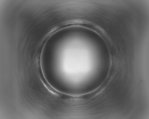 X0000080791225200612151446