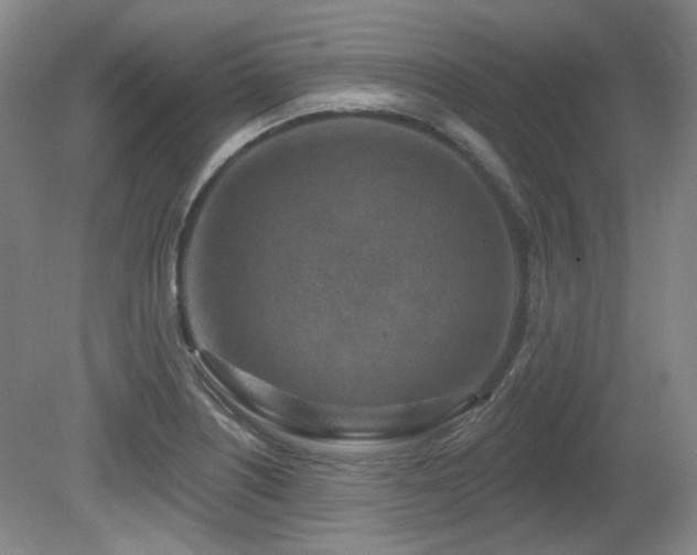 X0000080791226200612151446
