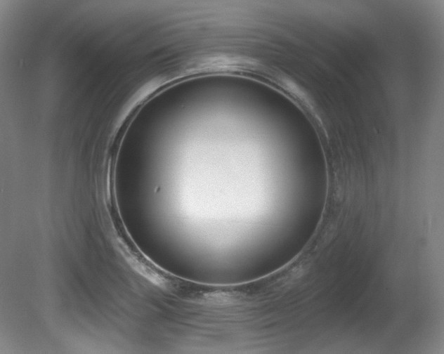 X0000080791227200612151446