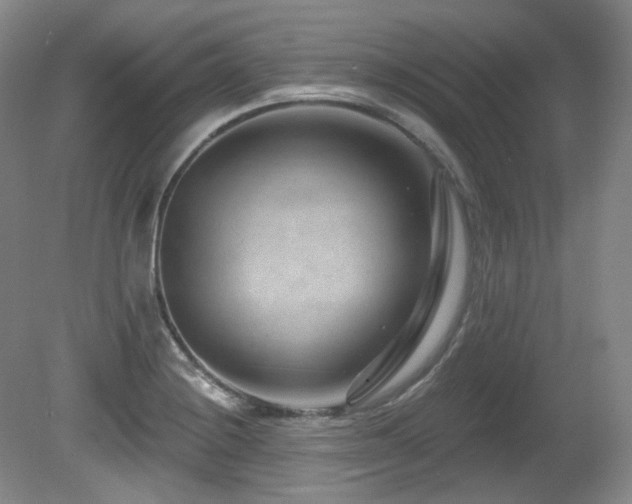 X0000080791228200612151446