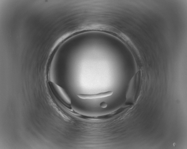 X0000080791230200612151446