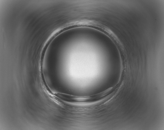 X0000080791232200612151446