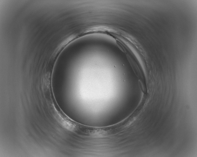 X0000080791233200612151446