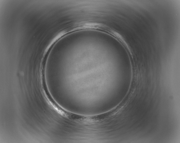 X0000080791235200612151446