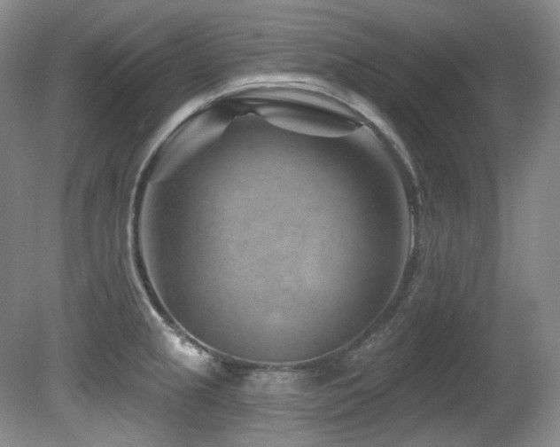 X0000080791237200612151446