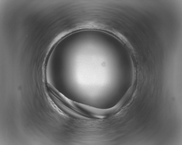 X0000080791238200612151446