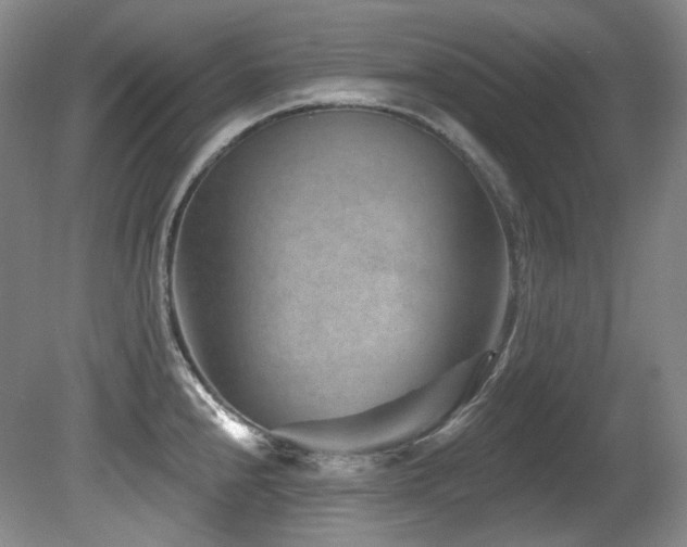 X0000080791240200612151446