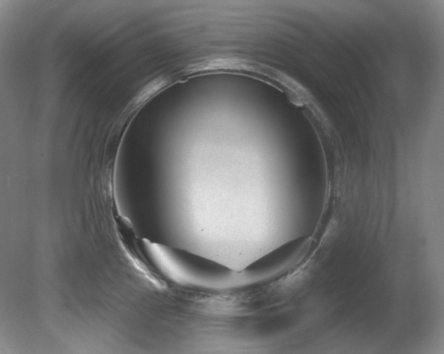 X0000080791241200612151446
