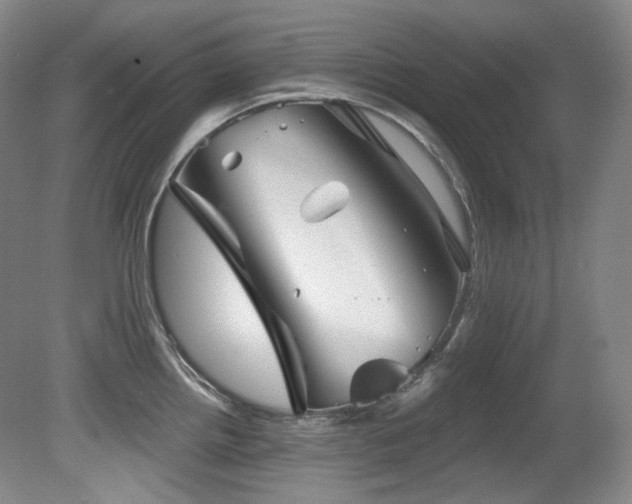 X0000080791242200612151446