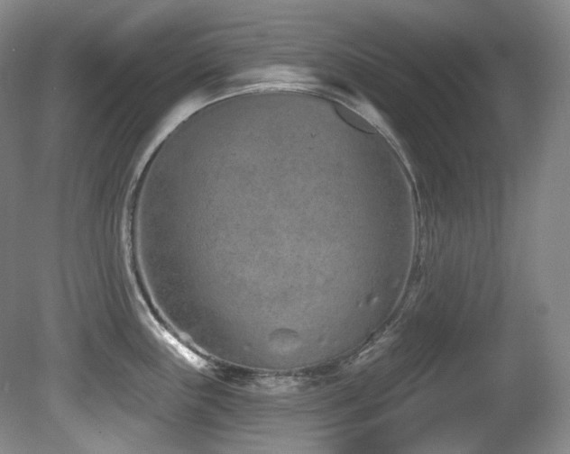X0000080791243200612151446