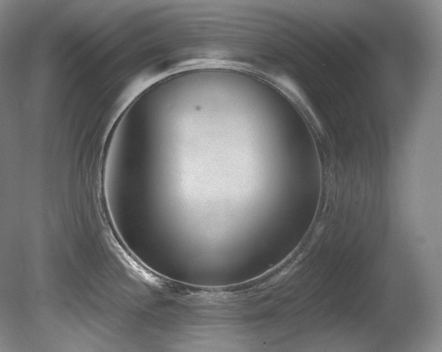 X0000080791244200612151446
