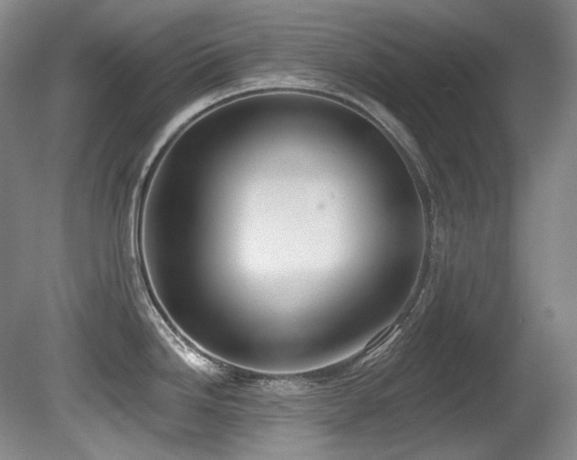 X0000080791246200612151446