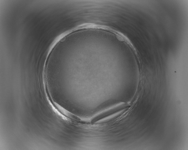 X0000080791247200612151446